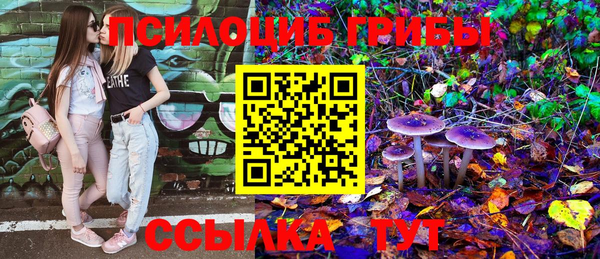Псилоцибиновые грибы ЛСД Сорочинск